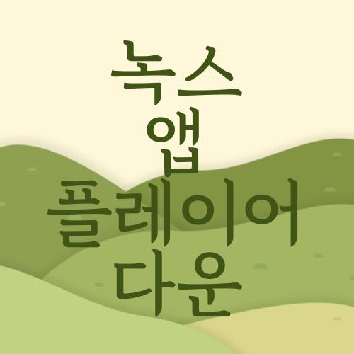 녹스 앱 플레이어 다운