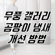 썸네일-이미지