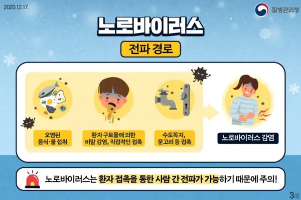  노로바이러스 감염 시 증상 완화 및 치료 방법
