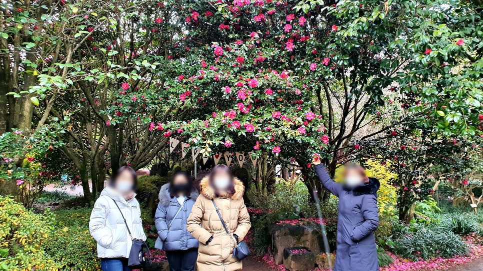 제주도대형버스대절 8