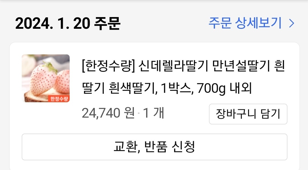 신데렐라딸기-내돈내산