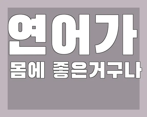 연어가 몸에 좋은거구나