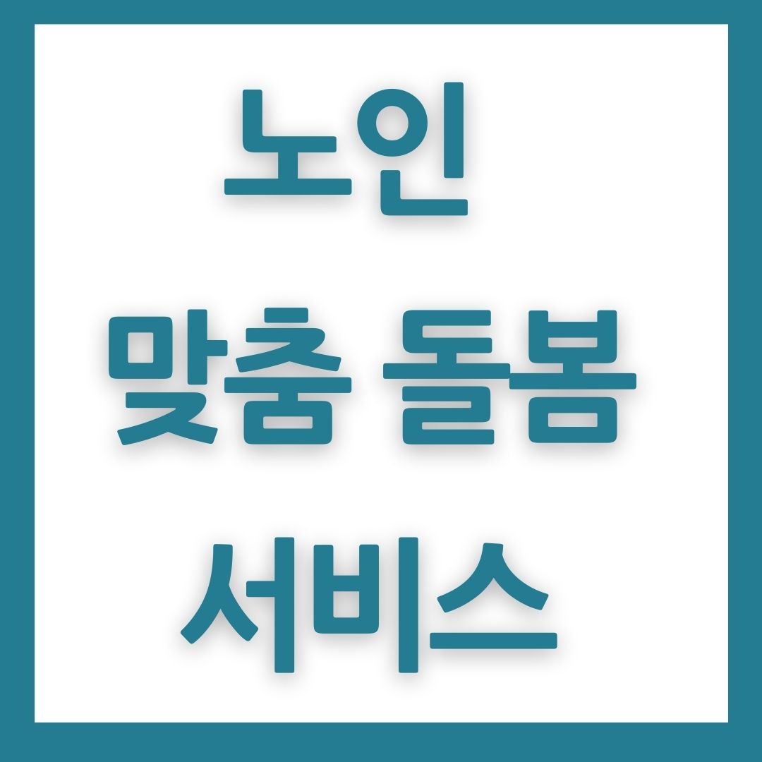 노인맞춤 돌범 서비스