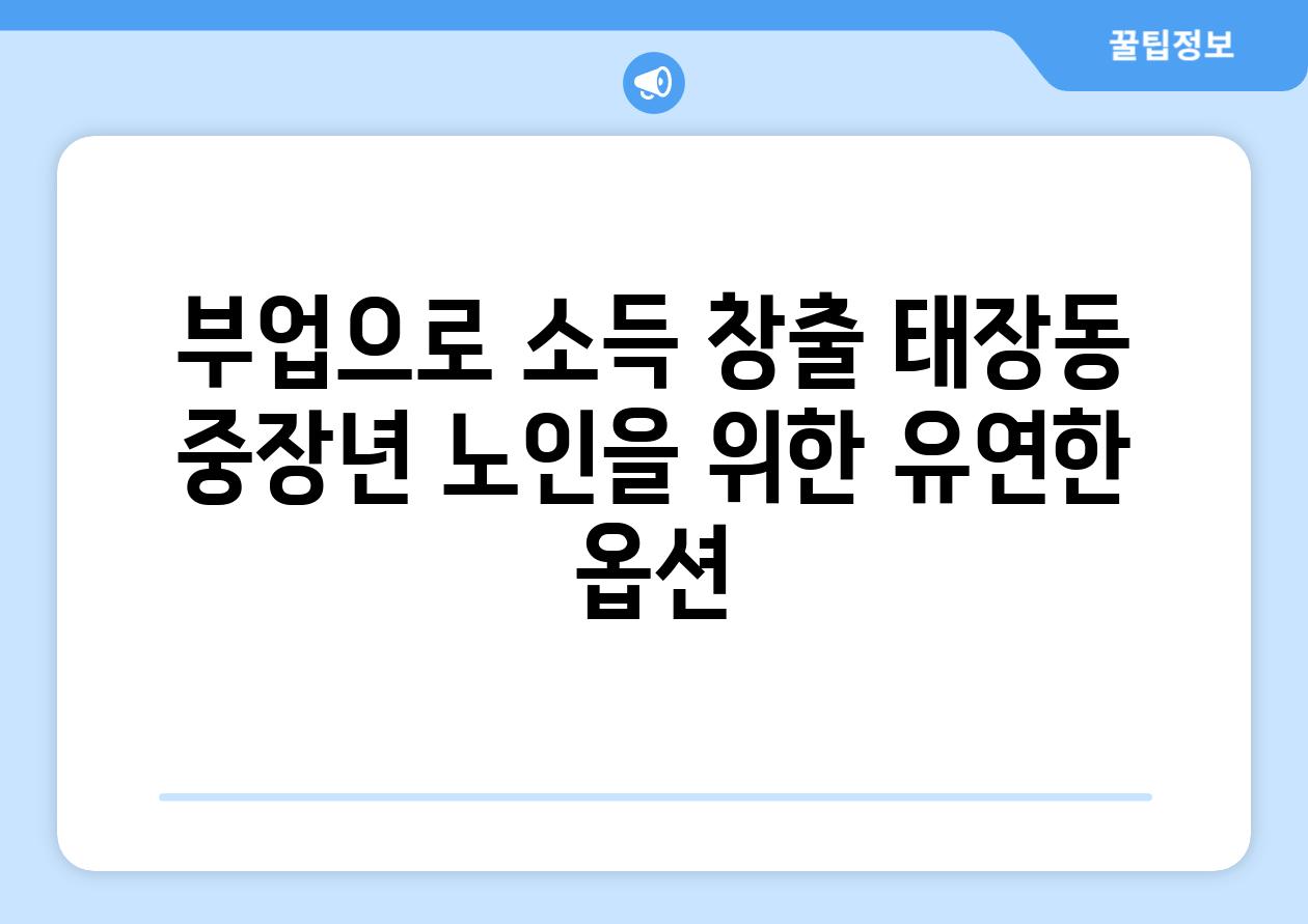 부업으로 소득 창출 태장동 중장년 노인을 위한 유연한 옵션