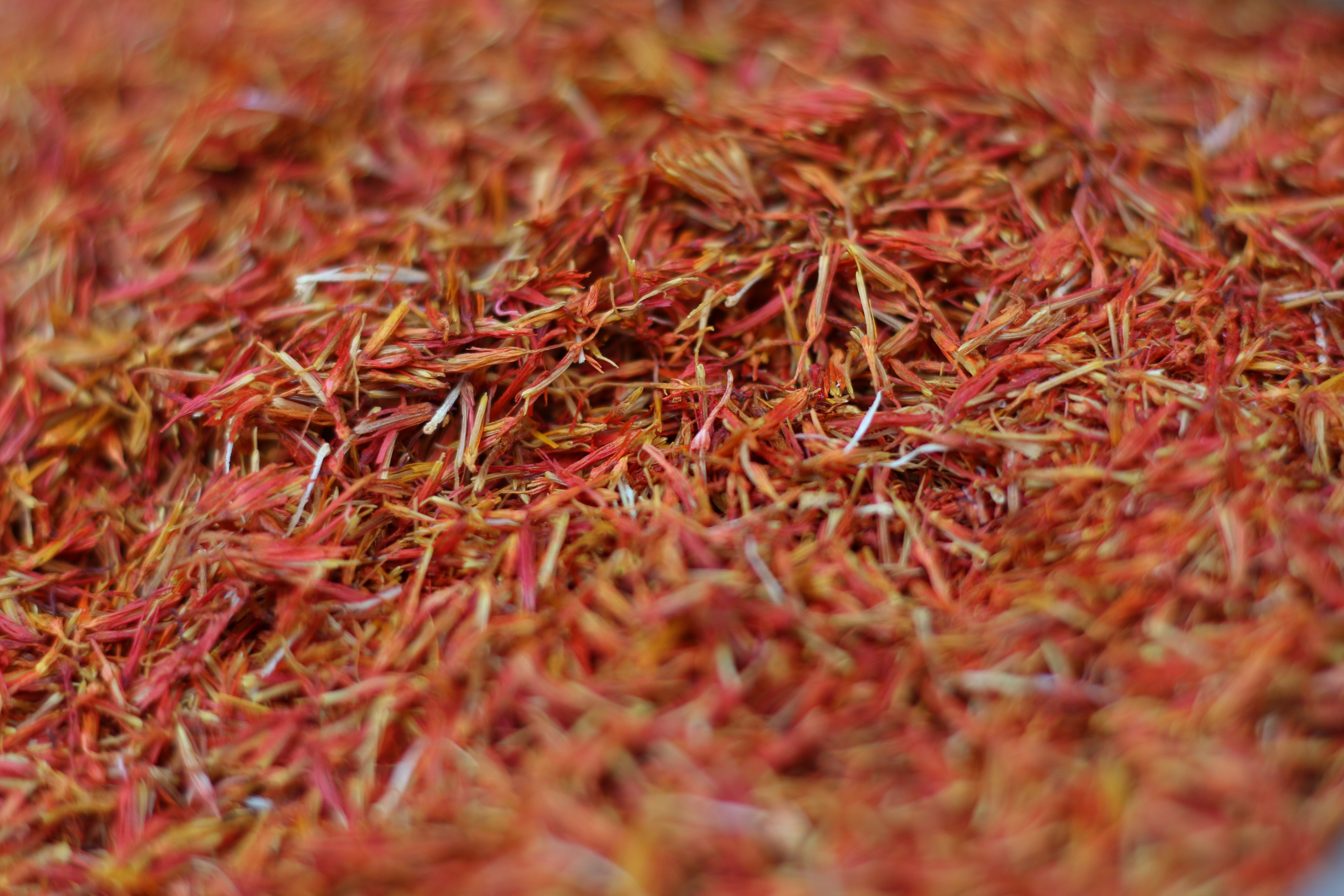 야생의 홍화꽃에서 채취를 한 붉은 빛깔의 홍화를 바닥에 수북하게 깔고 확대하여 찍은 사진