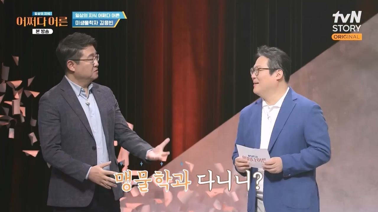 어쩌다 어른.E51.240410p-NEXT.mp4_20240410_170206.393.jpg