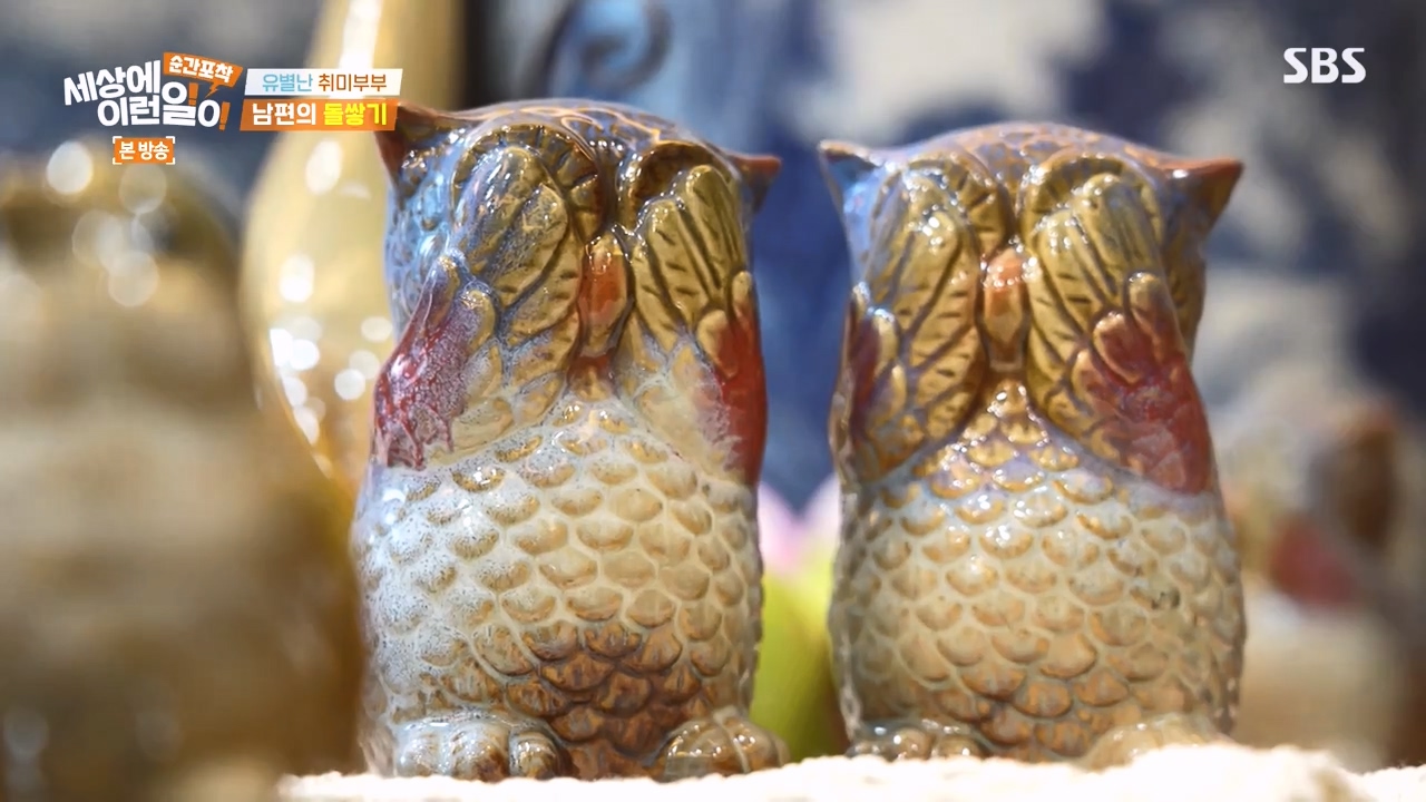 순간포착 세상에 이런일이.E1258.231231p-NEXT.mp4_20231231_163748.461.jpg