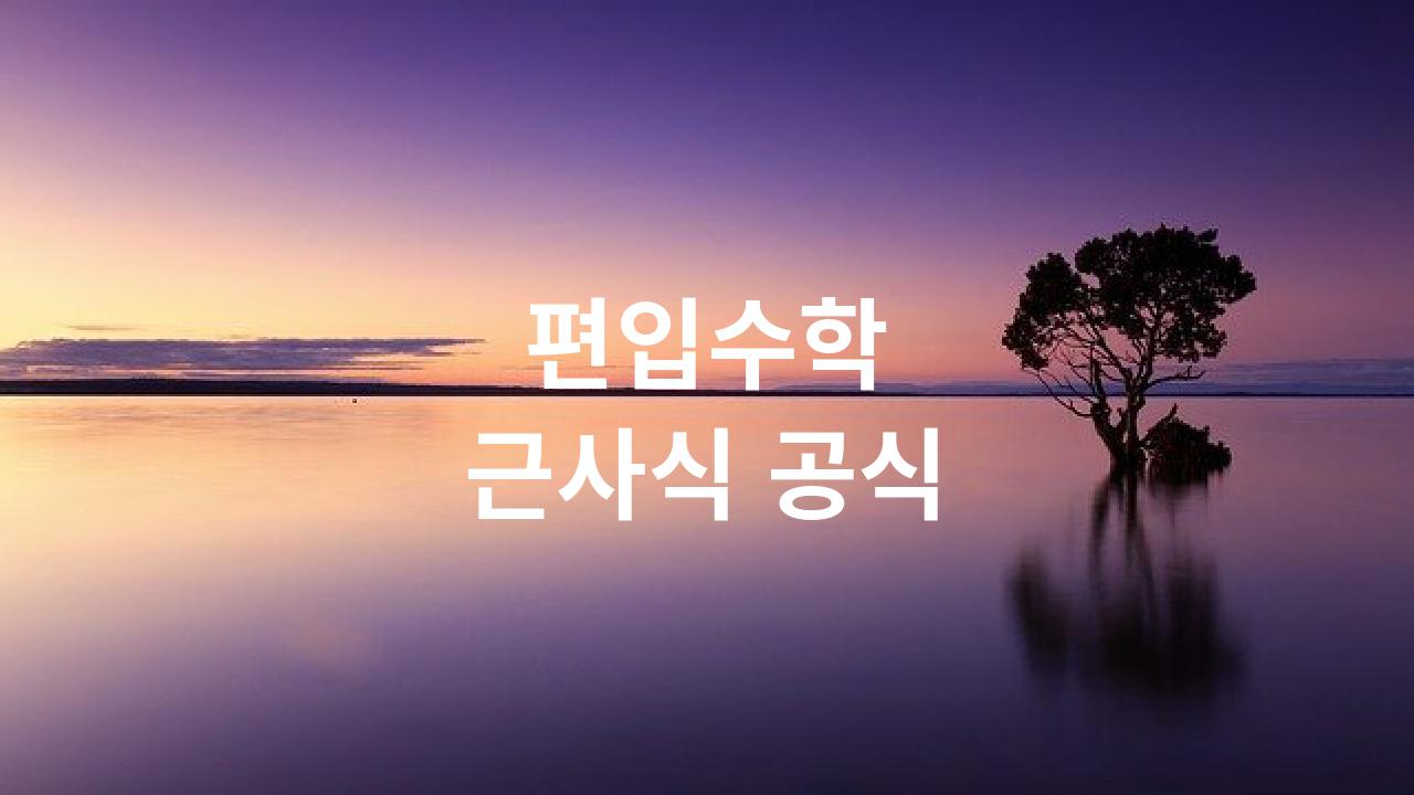  근사식 (近似式)