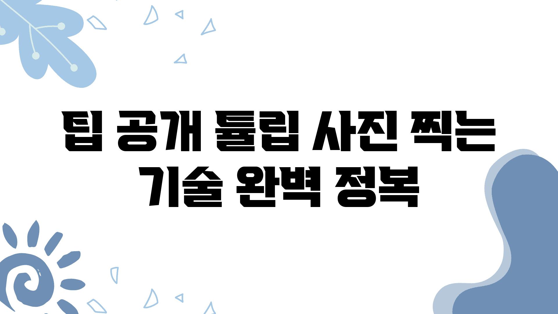 팁 공개! 튤립 사진 찍는 기술 완벽 정복