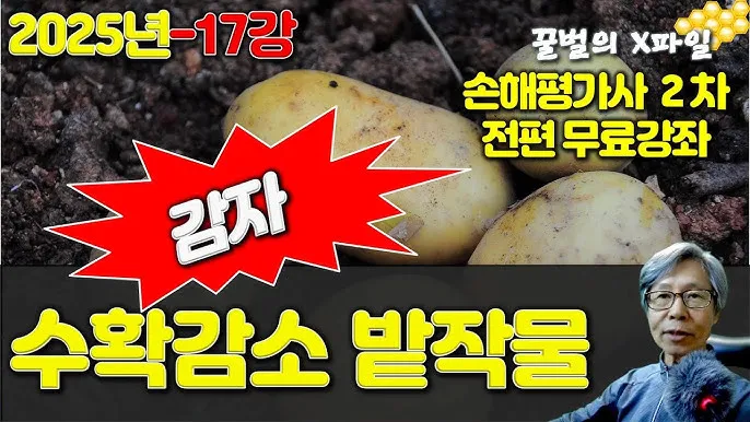 6월에 심는 밭작물 채소_6