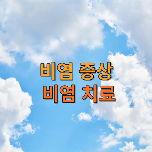 비염 증상 &amp;#44; 비염 치료