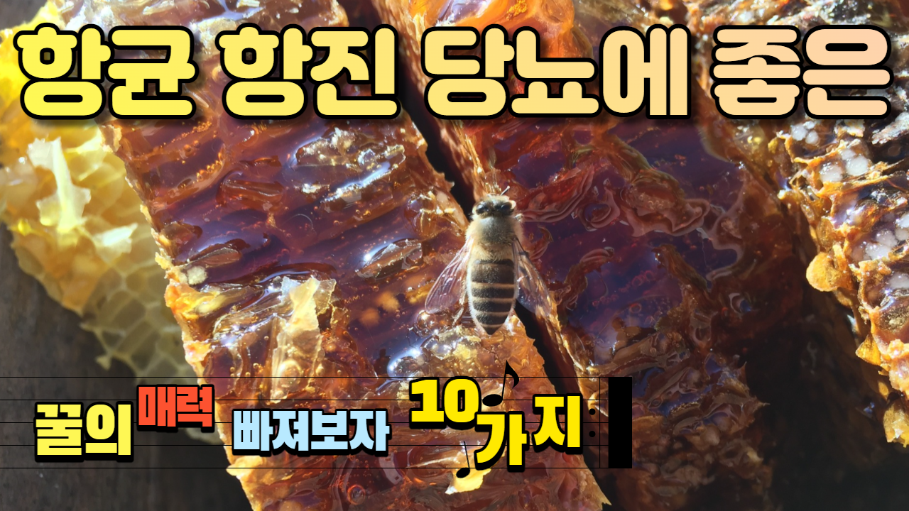  꿀의 효능