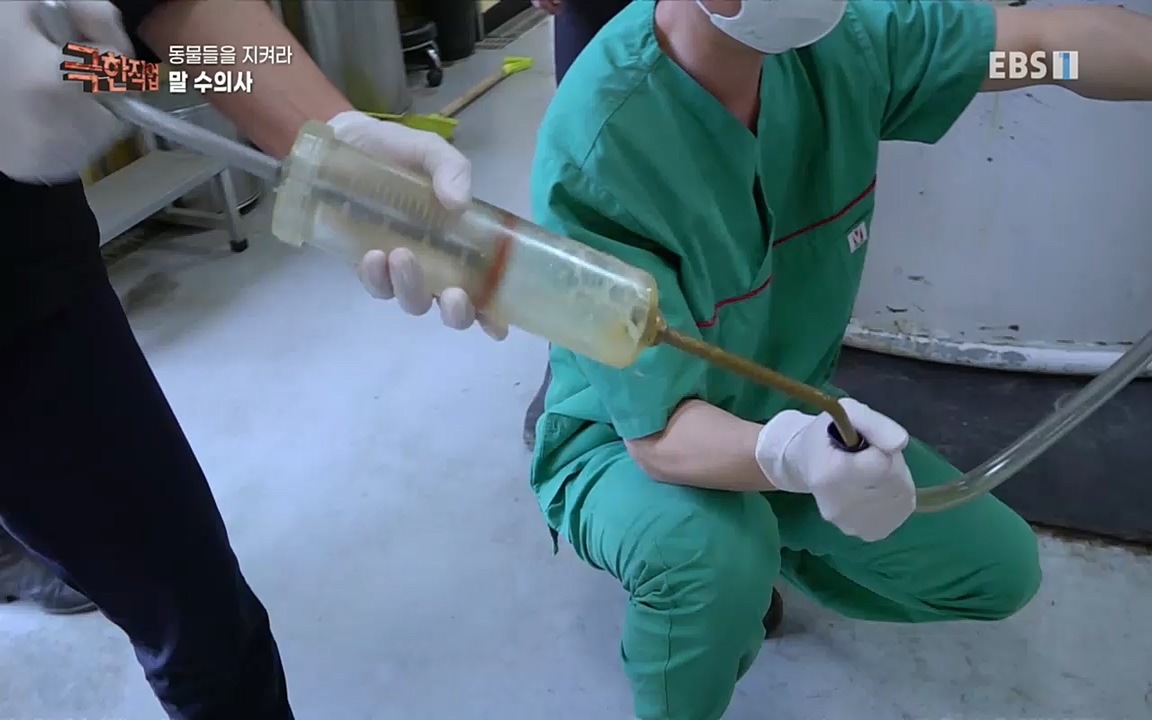TV - 교육의 중심 EBS동물들을 지켜라, 수의사와 유기 동물 구조팀.mp4_20220913_200146.576.jpg