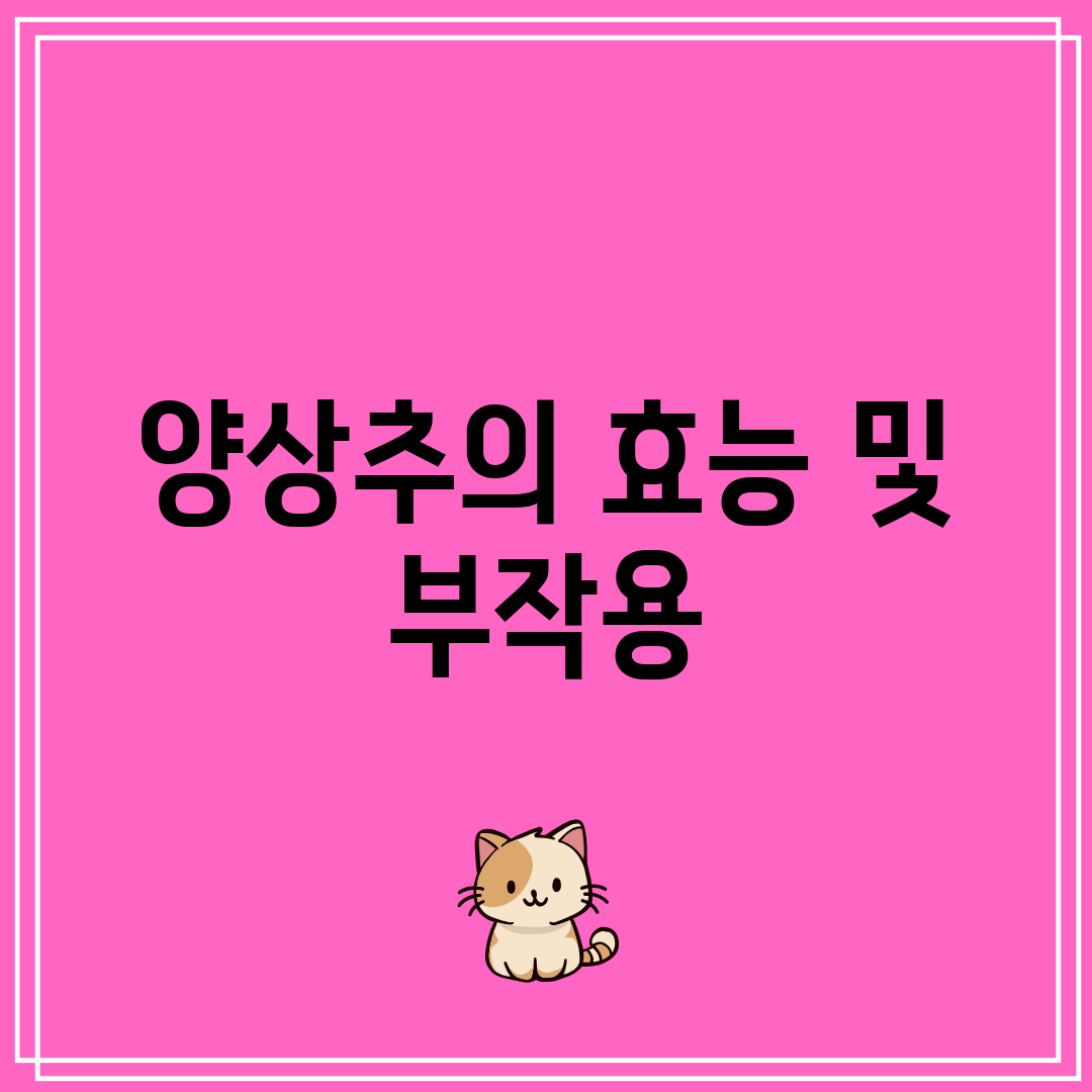 양상추의 효능 및 부작용