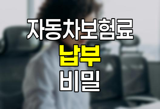 자동차보험료 납부의 숨은 비밀, 월납과 분납의 진실