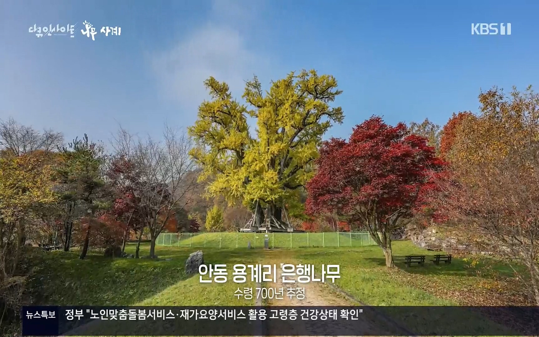 다큐 인사이트.E124.220908p.H264-F1RST.mp4_20220912_142459.267.jpg
