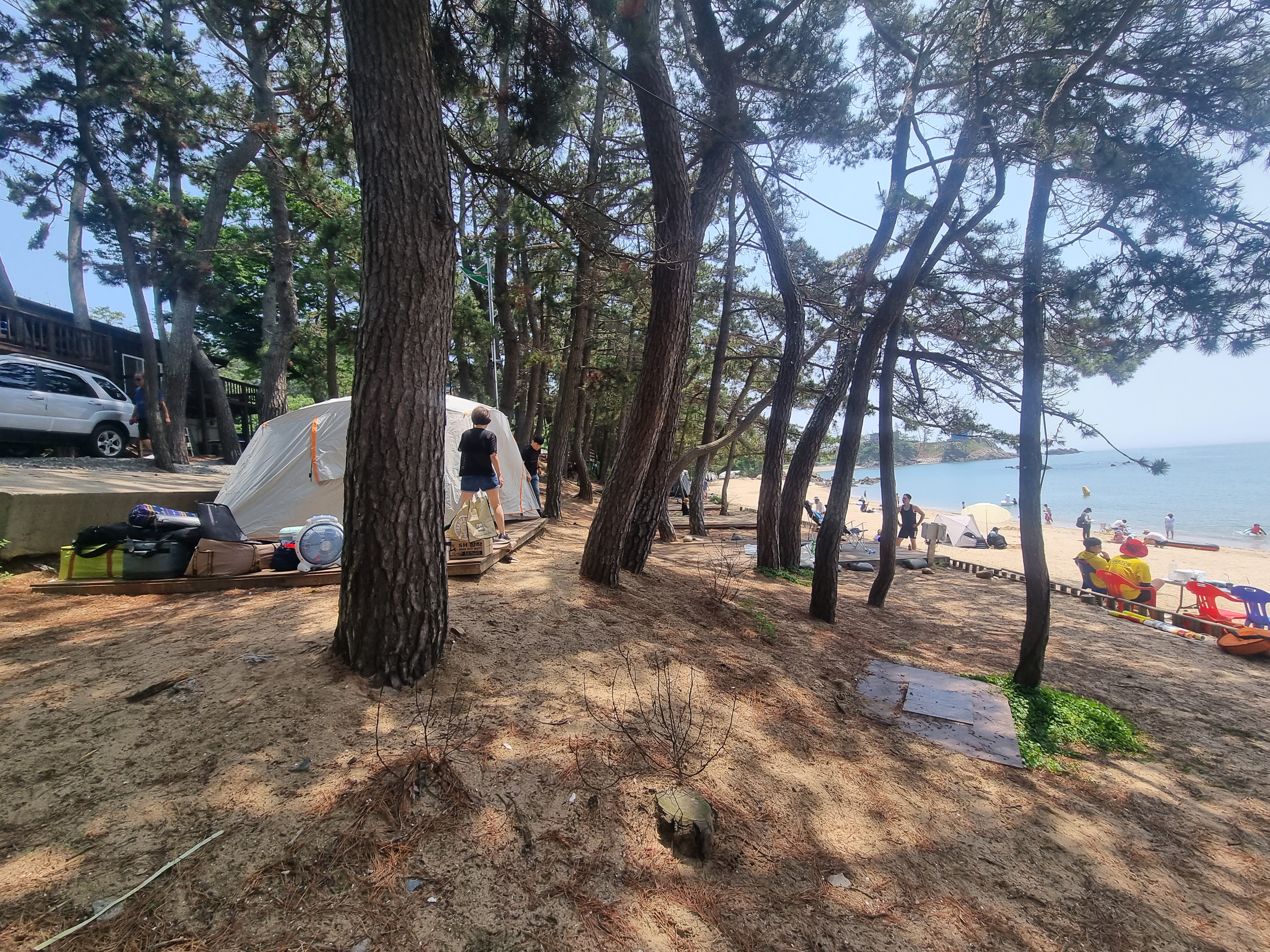 충남 태안 서해바다 캠핑하기 좋은 물깨끗한 꾸지나무골 해수욕장