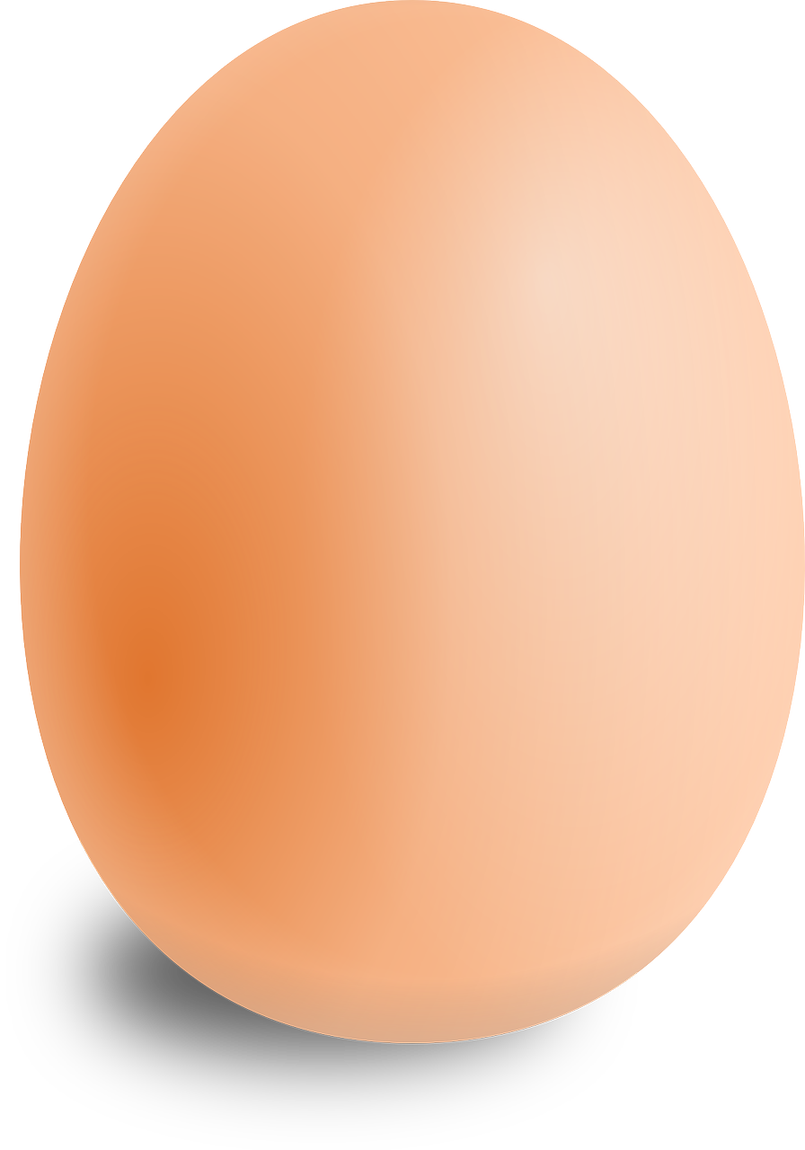 계란의 영양가와 효능