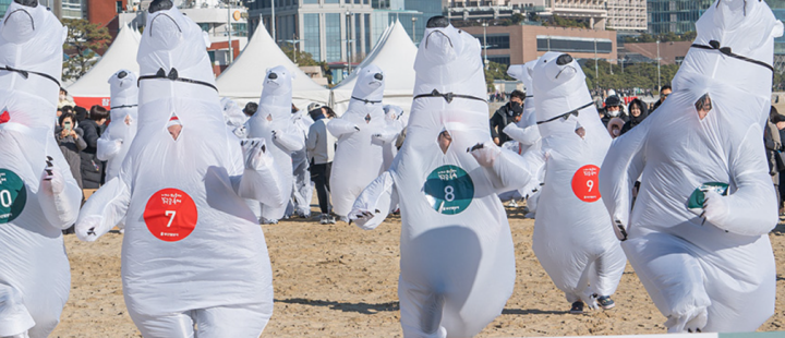 해운대북극곰축제