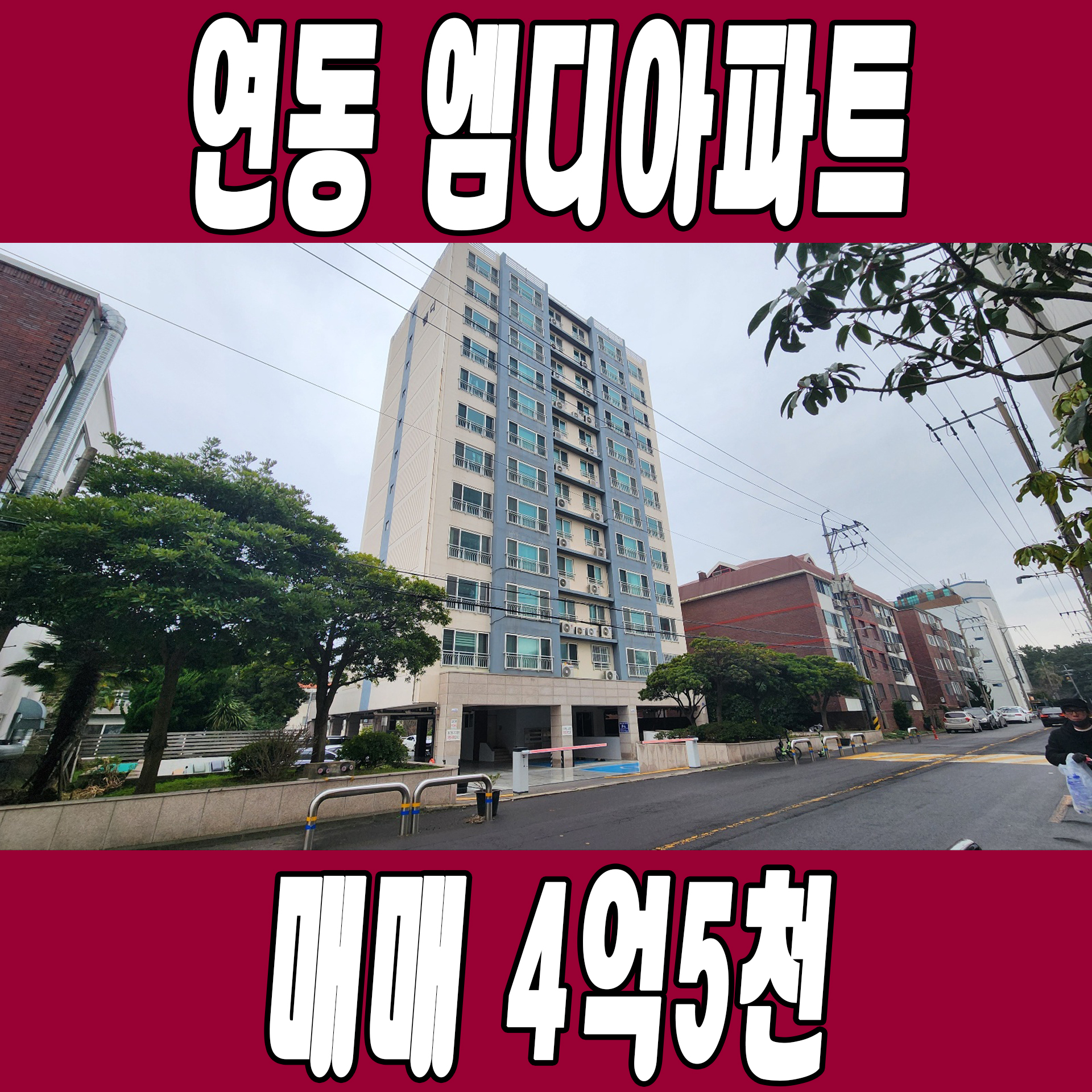 엠디 이미지