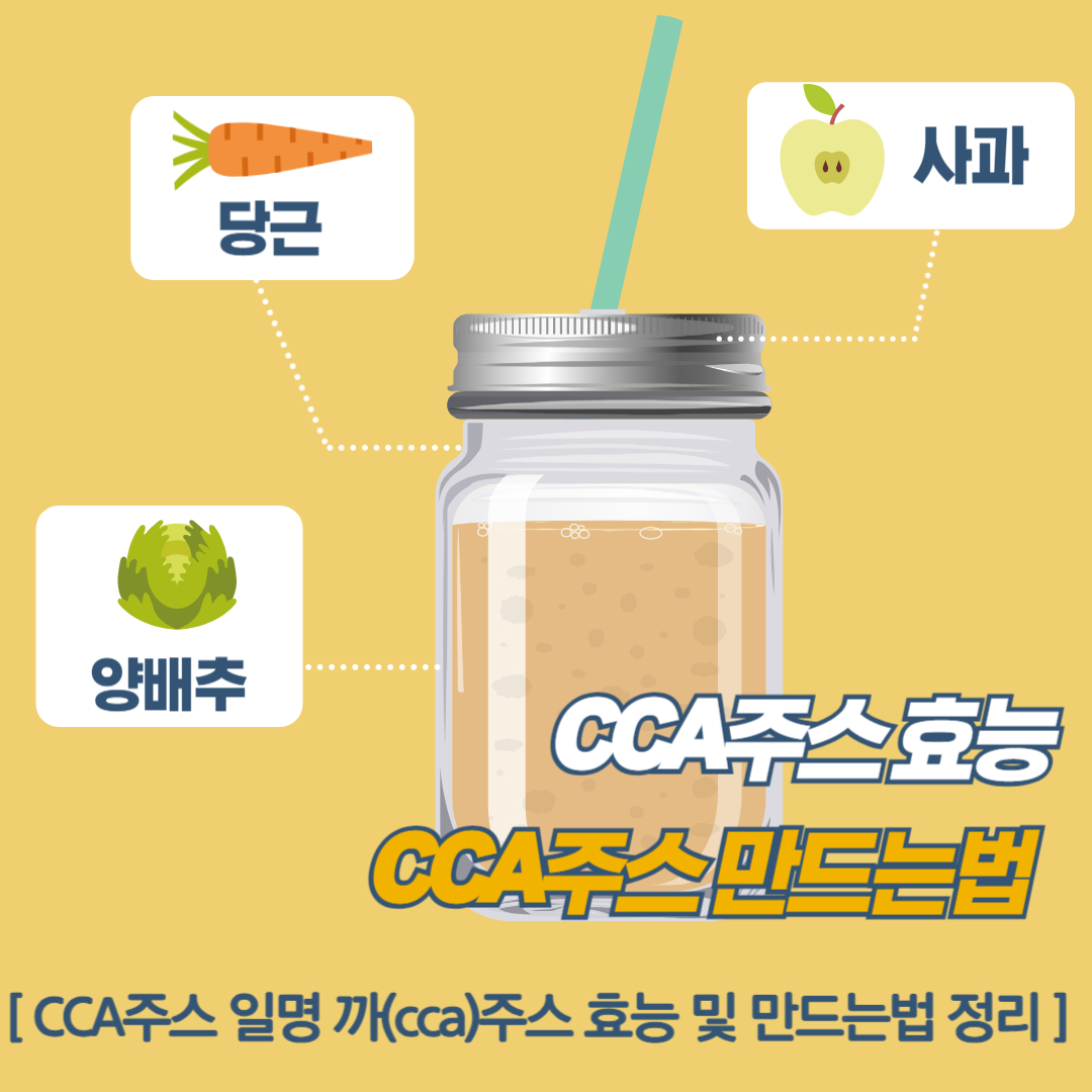 CCA주스 까(cca)주스 효능 및 만드는법