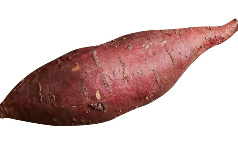 먹기 전에 고구마찜의 열량을 알아두자. 3