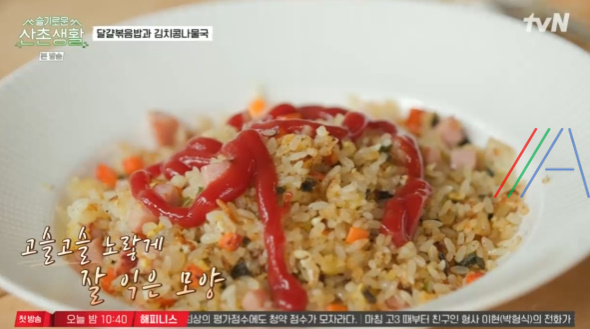 슬기로운 산촌생활 달걀볶음밥 만들기 레시피 2 img