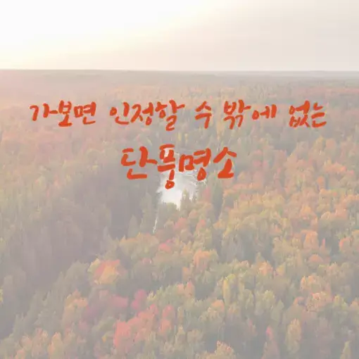 섬네일 가보면 인정할 수 밖에 없는 단풍명소