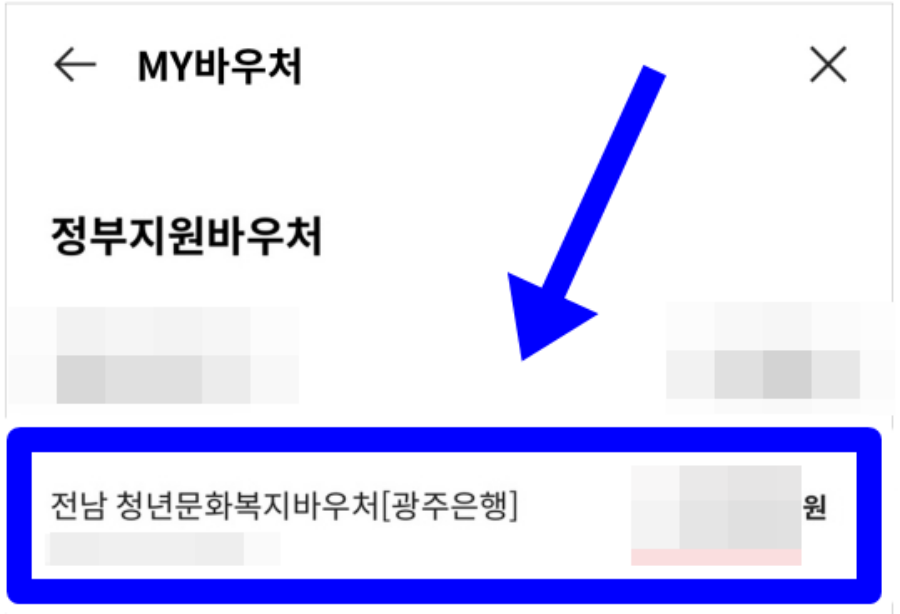전남 청년문화복지바우처 잔액 결과