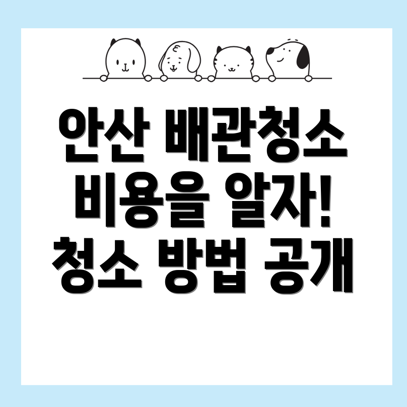 배관청소