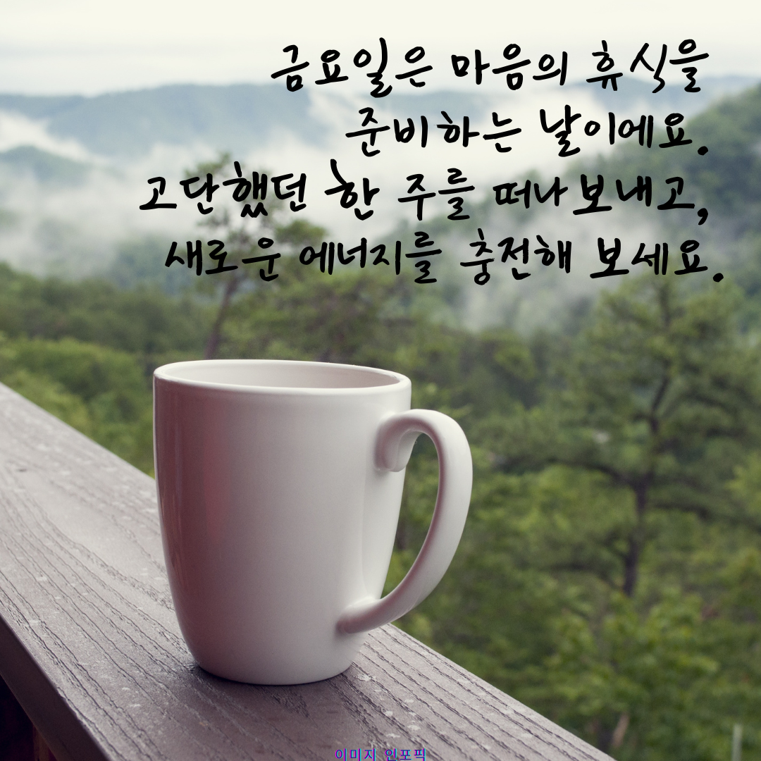 금요일 아침 인사말 이미지 문구 모음집