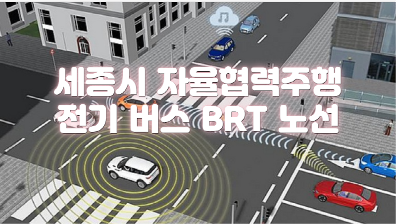  세종시 자율협력주행 전기 버스 BRT 노선