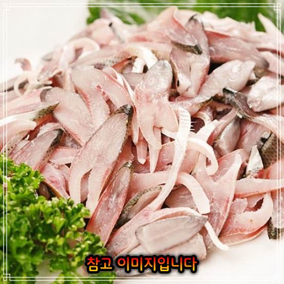  1436회 생생정보 마당 전어회 무침 현장치GO 경남 사천 추천 가게 전어구이 방송 정보