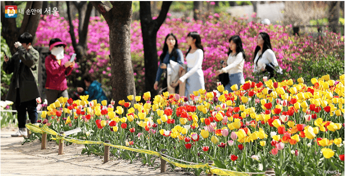 서울식물원&lt;출처 내손안의 서울&gt;