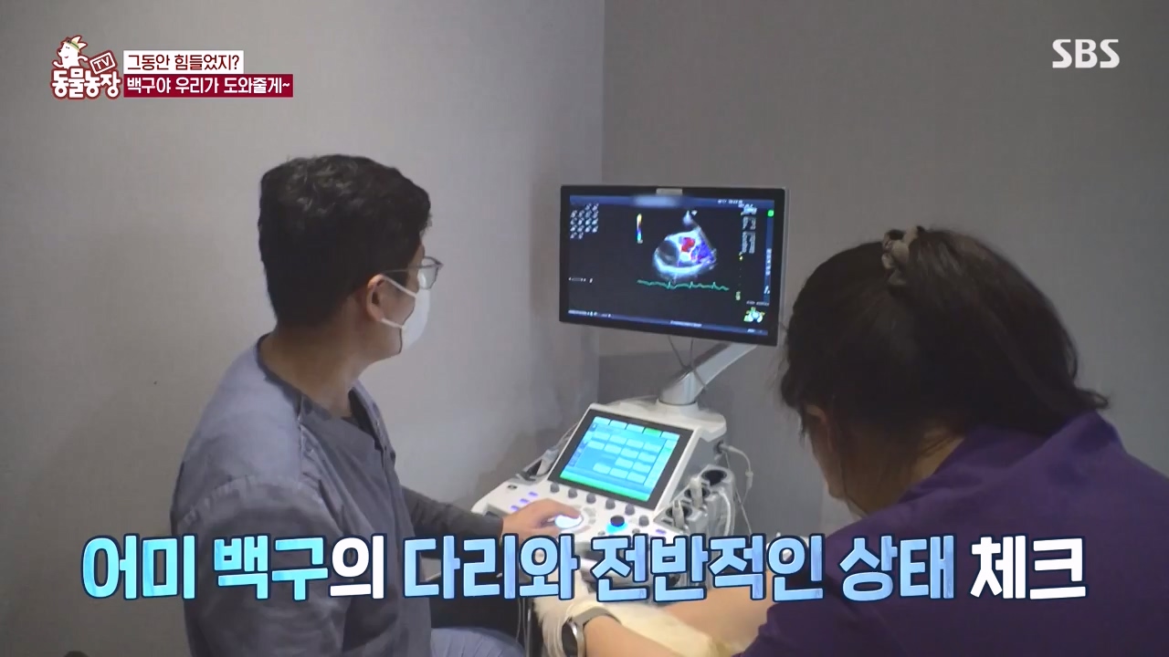 TV 동물농장.E1144.231106p-NEXT.mp4_20231105_180002.973.jpg