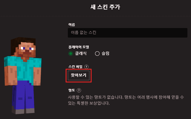 스킨 파일 찾아보기를 클릭합니다.