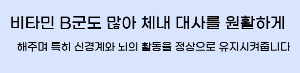  비타민 B군도 많아 체내 대사를 원활하게 해주며 특히 신경계와 뇌의 활동을 정상으로 유지시켜줍니다