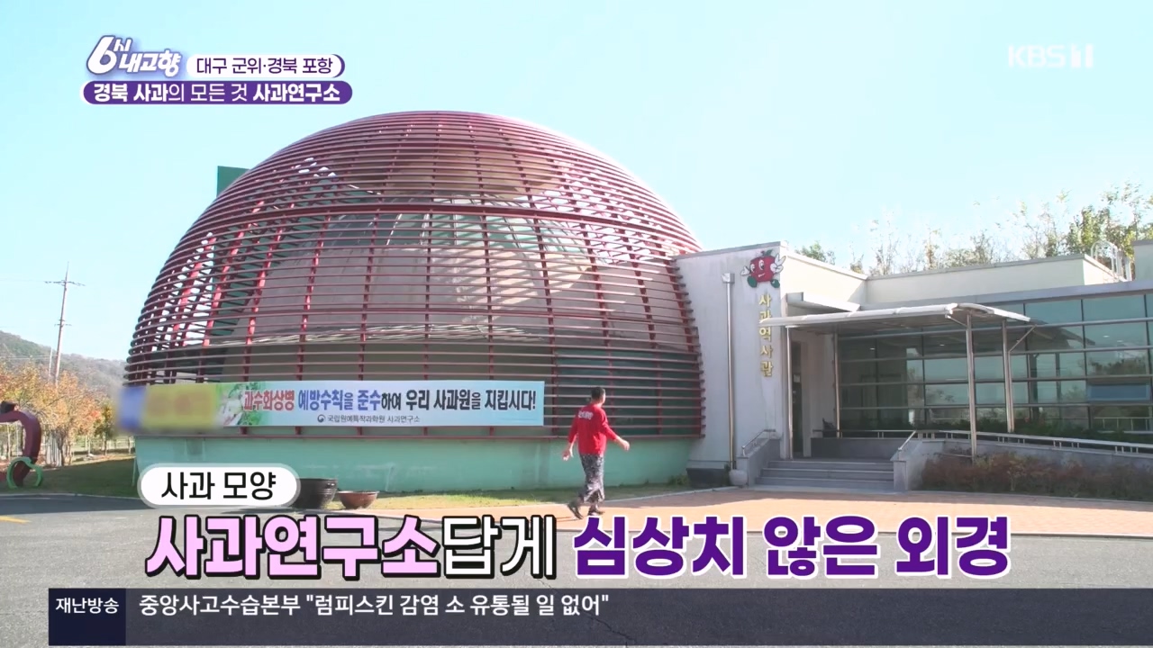 6시 내고향.E7907.231108p.H264-F1RST.mp4_20231108_203705.590.jpg