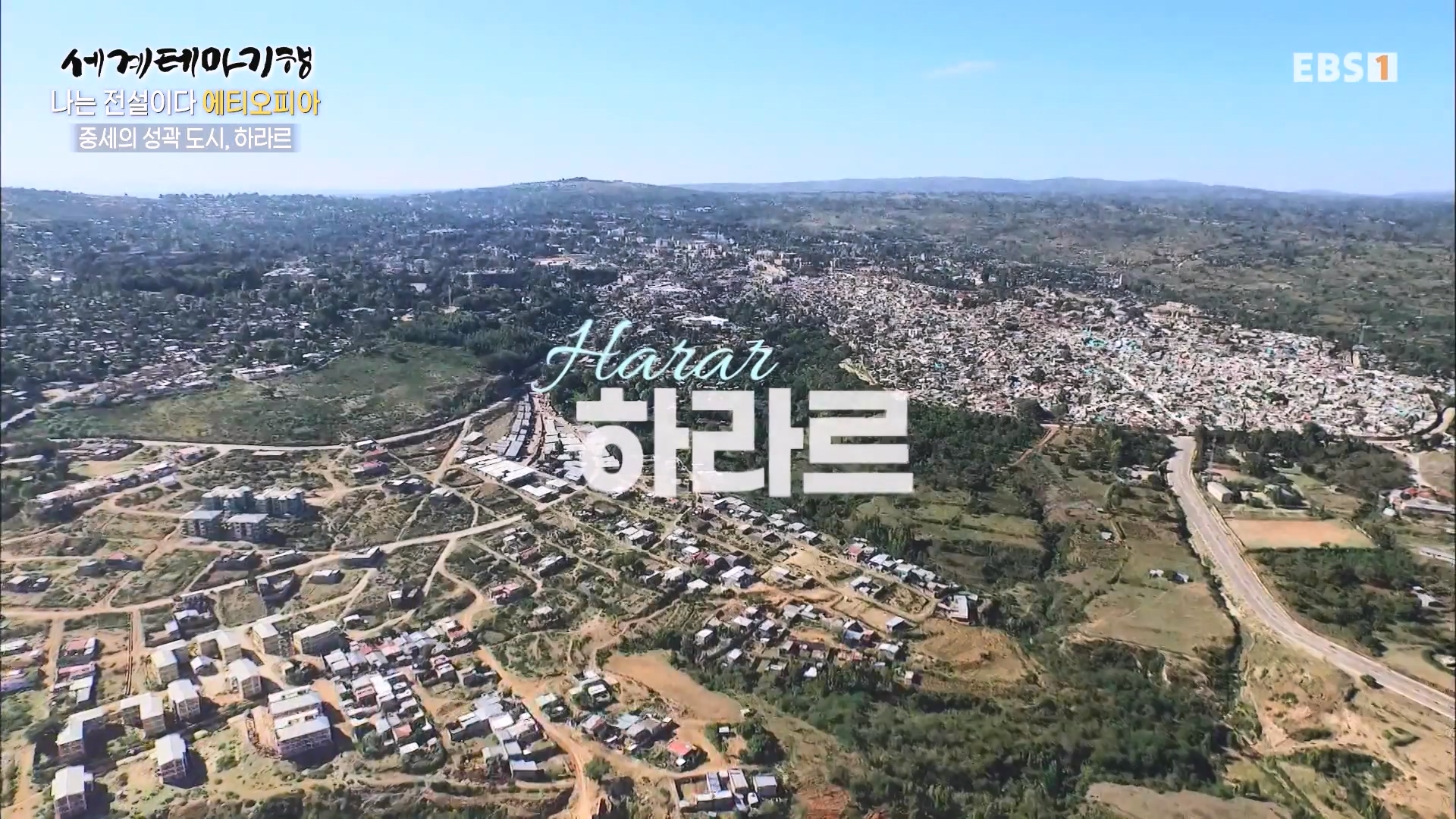 세계테마기행 240116 나는 전설이다 에티오피아 -골목의 전설, 하라르0p.mp4_20240713_172416.427.jpg