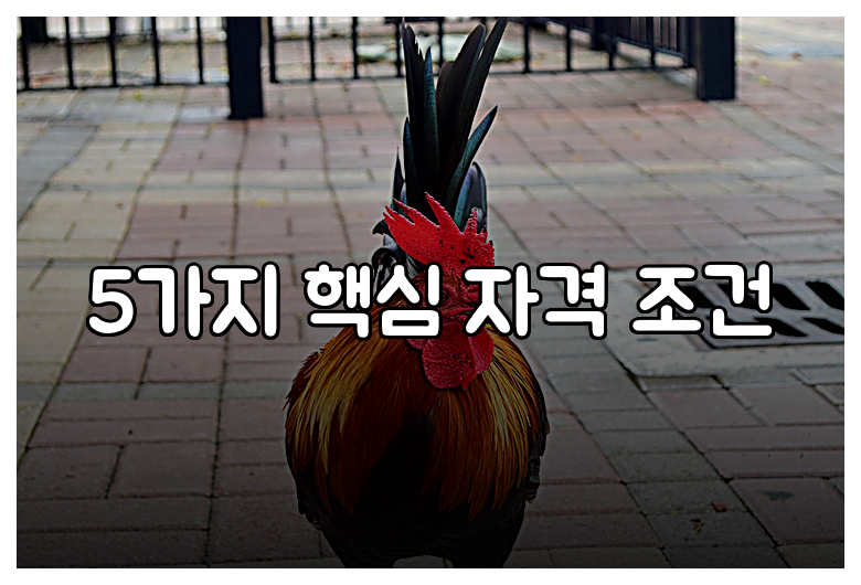 5가지 핵심 자격 조건