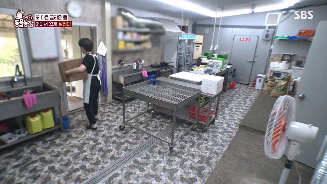 TV 동물농장.E1146.231120p-NEXT.mp4_20231119_175241.604.jpg