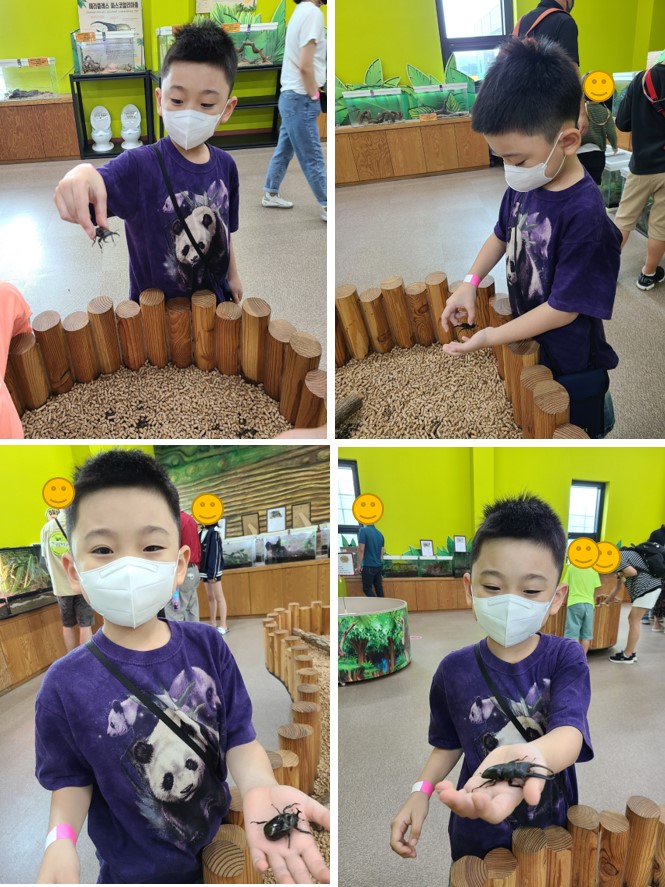 여주 곤충 박물관 곤충체험