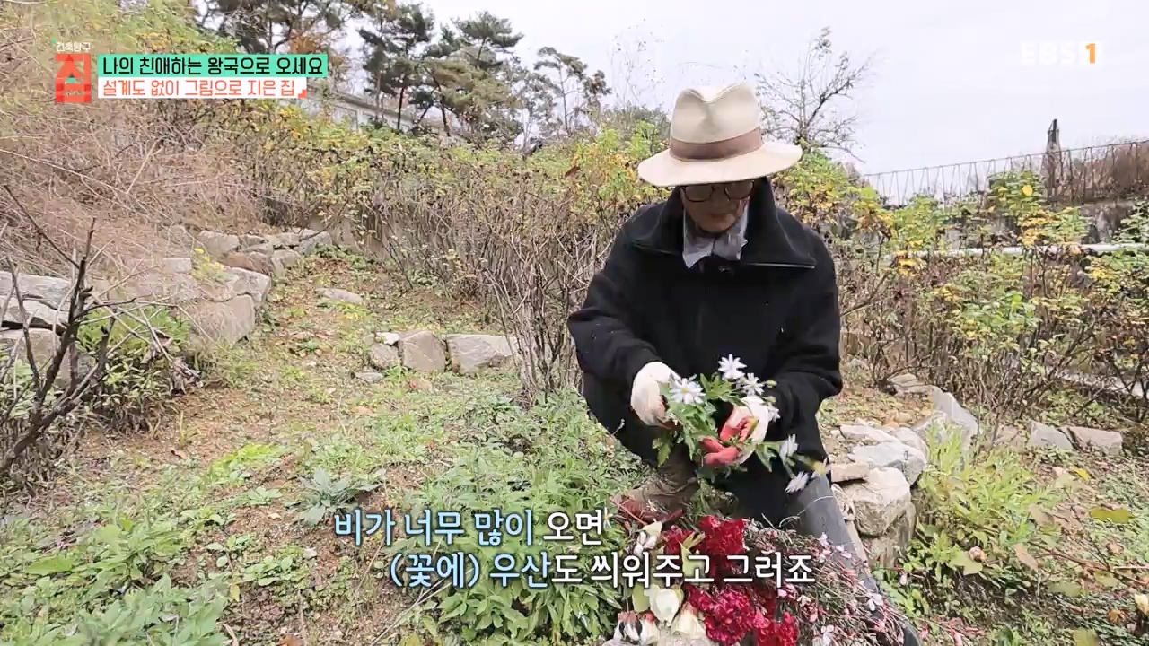 TV - 전 국민의 평생학교 EBS나의 친애하는 왕국으로 오세요.mp4_20240117_195034.081.jpg