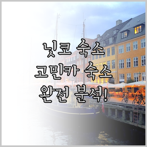 닛코 여행, 어디에서 묵을까? 고민카