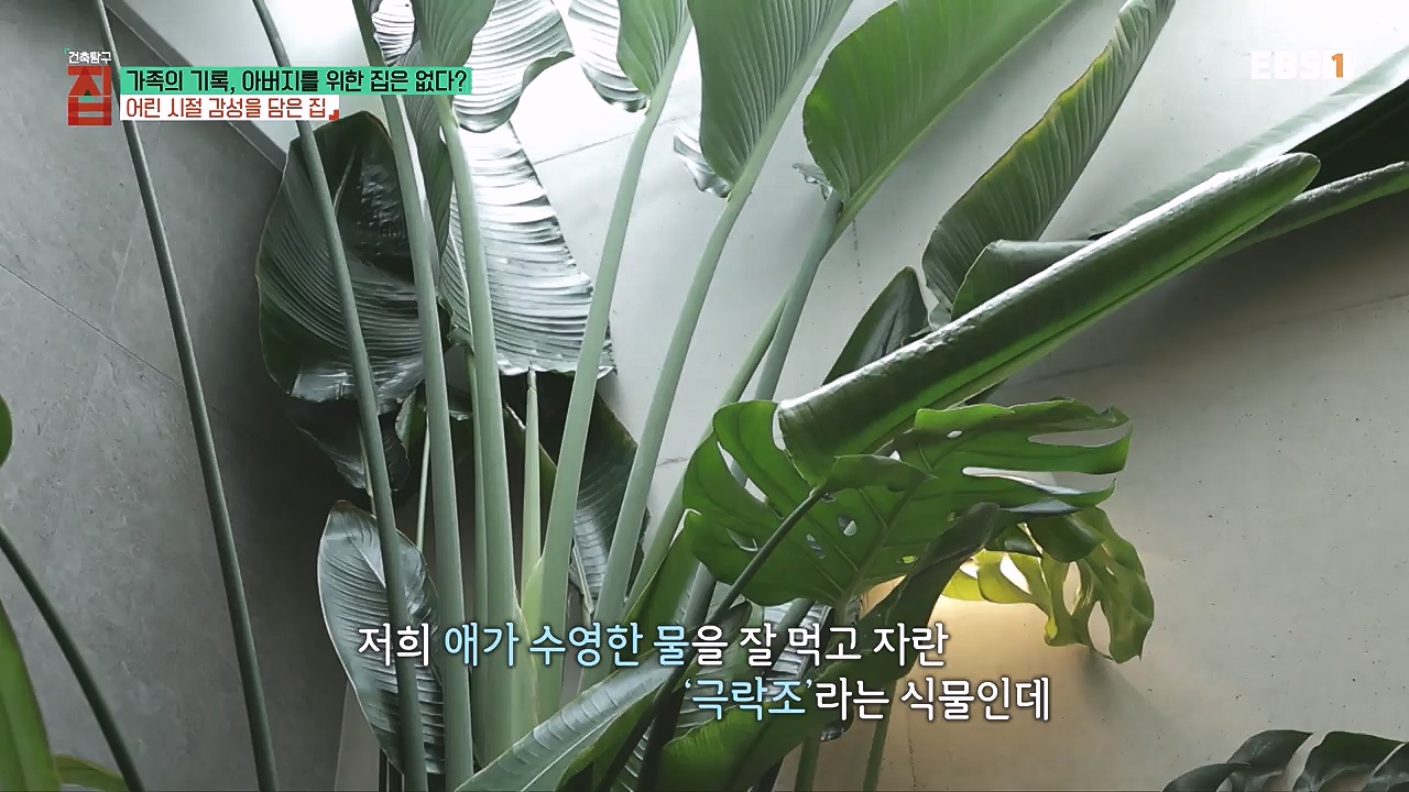 TV - 전 국민의 평생학교 EBS가족의 기록, 아버지를 위한 집은 없다-.mp4_20240103_203400.645.jpg