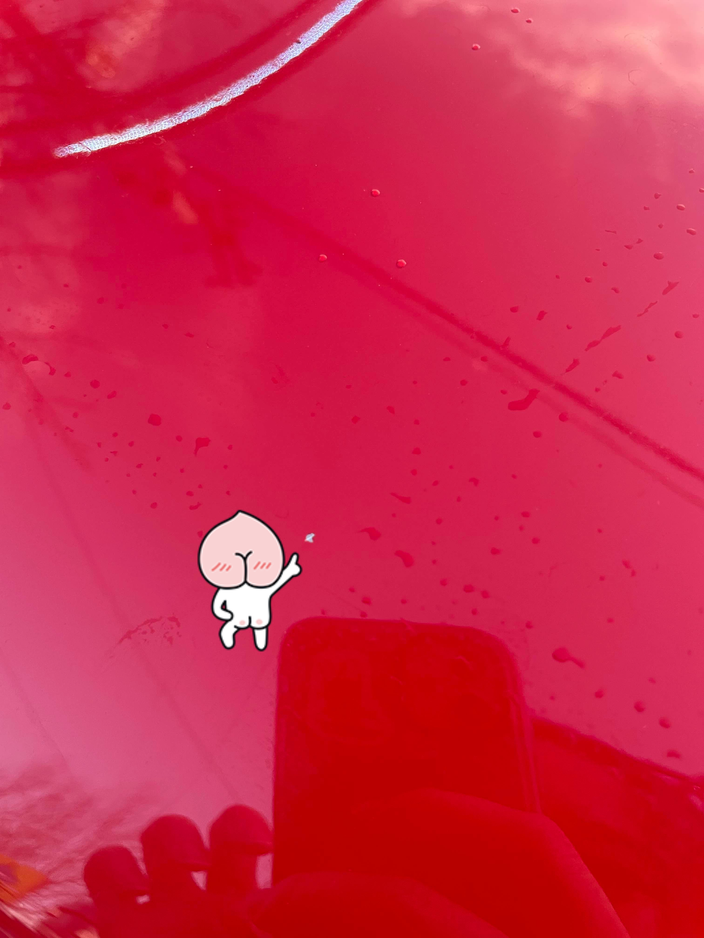 차 후드