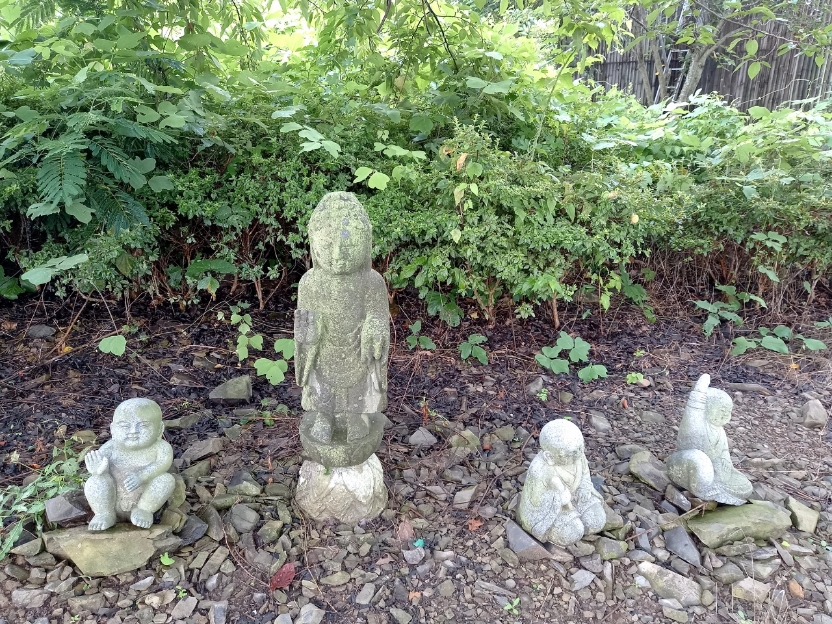 img.jpg