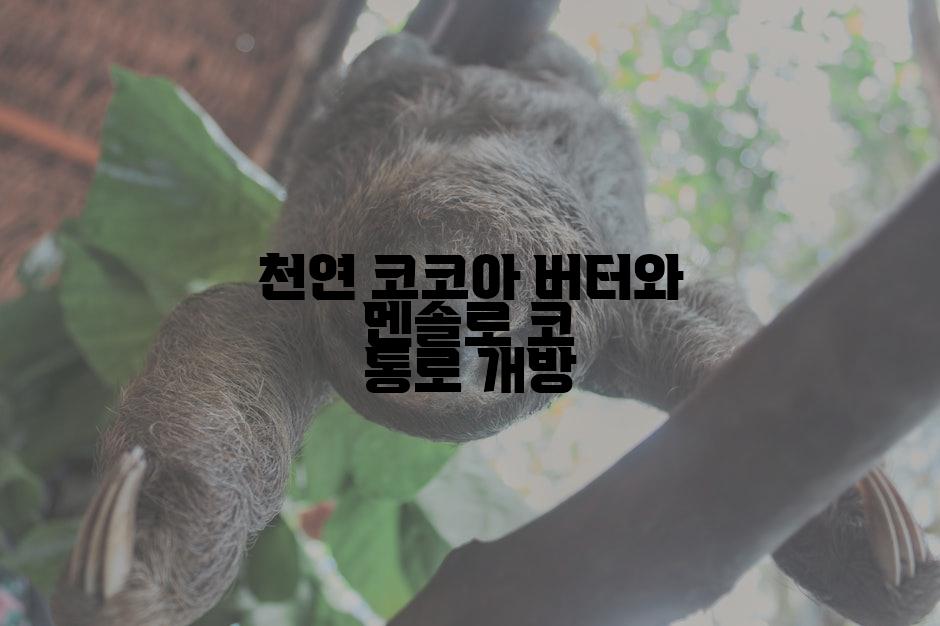 천연 코코아 버터와 멘솔로 코 통로 개방