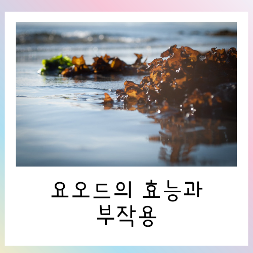  요오드의 효능과 부작용 총 정리