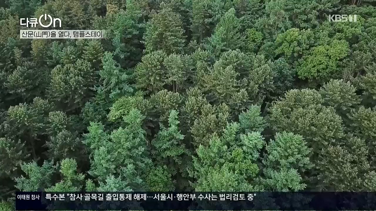 다큐 On.E170.221112p.H264-F1RST.mp4_20221120_145137.524.jpg